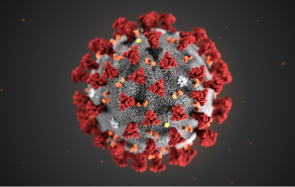 a medical illustration of corona virus